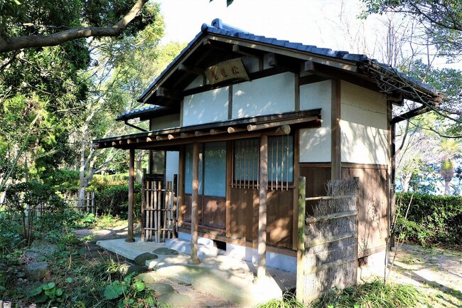 Uminonakamichi Seaside Park Experience Traditional Culture in a Traditional Tea Room