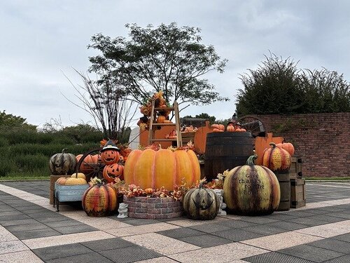 写真②.jpg