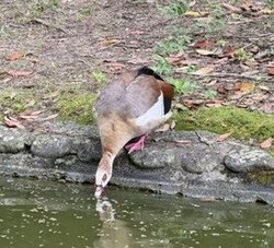 画像4.jpg