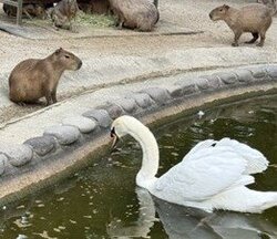 画像3.jpg