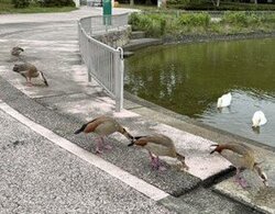 画像7.jpg