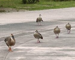 画像6.jpg