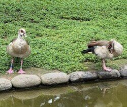 画像1.jpg