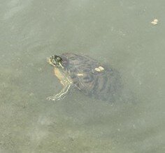 画像8.jpg