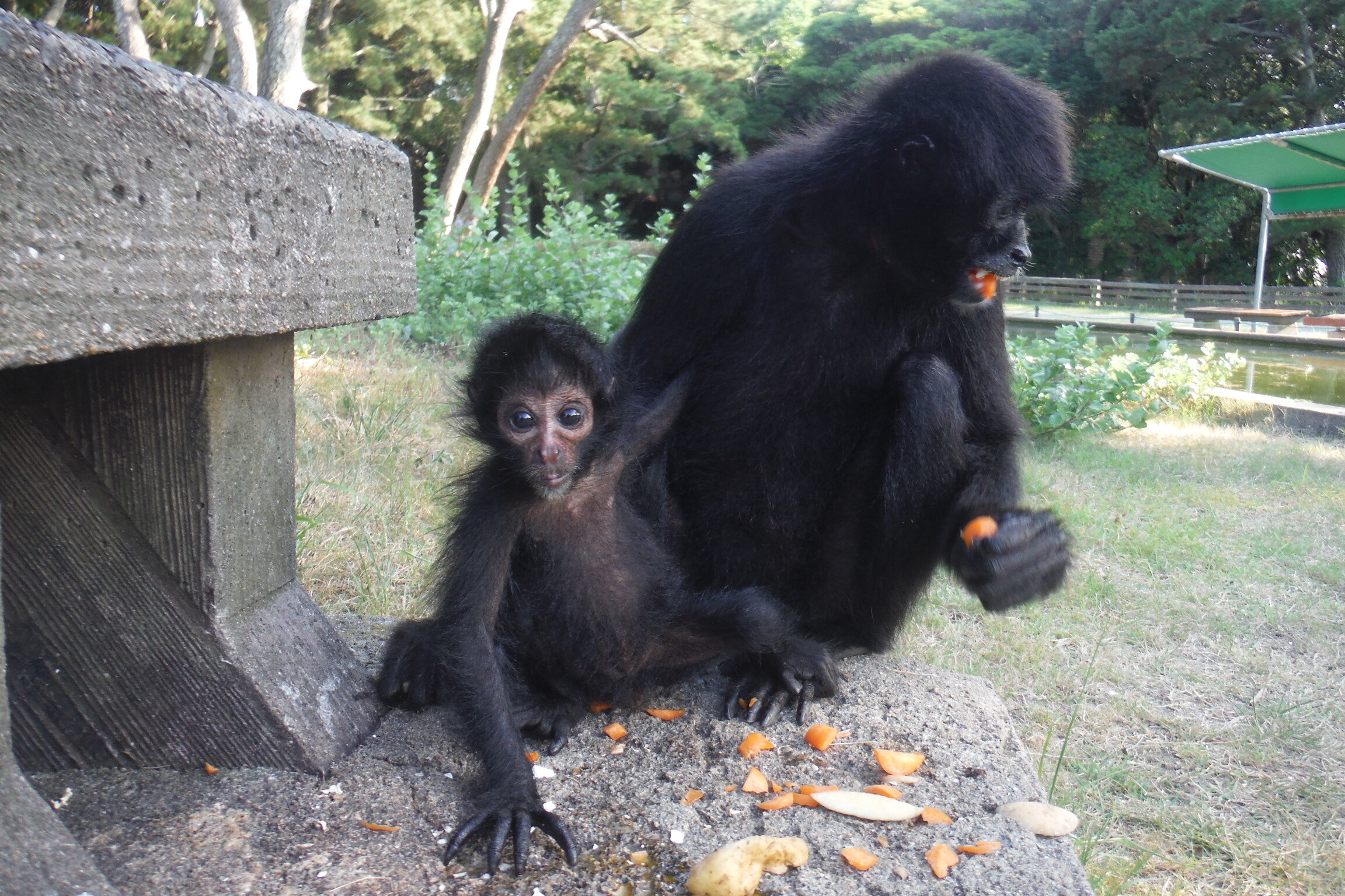 DSCF6479.JPG