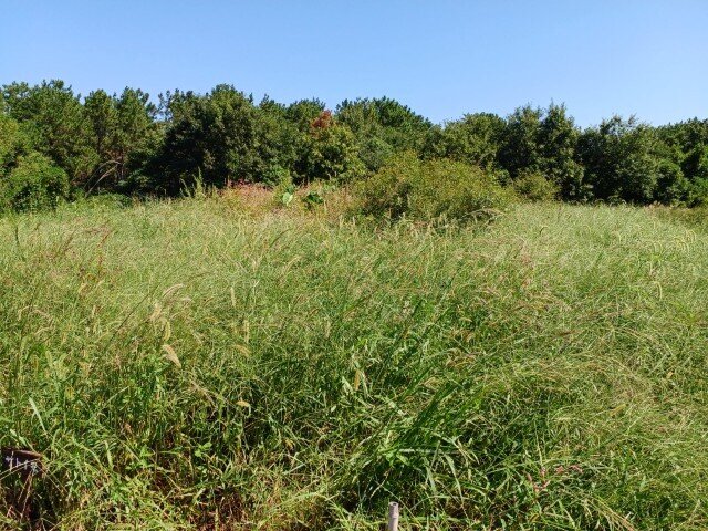20260930_114922.jpg