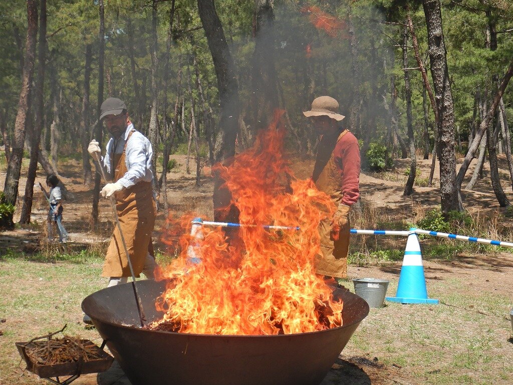 DSCN7416.jpg