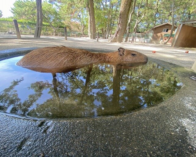 ③.jpg