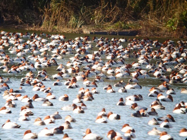 20260122_102827 (カスタム).jpg