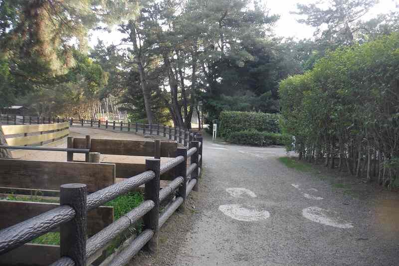 DSCF2788.jpg