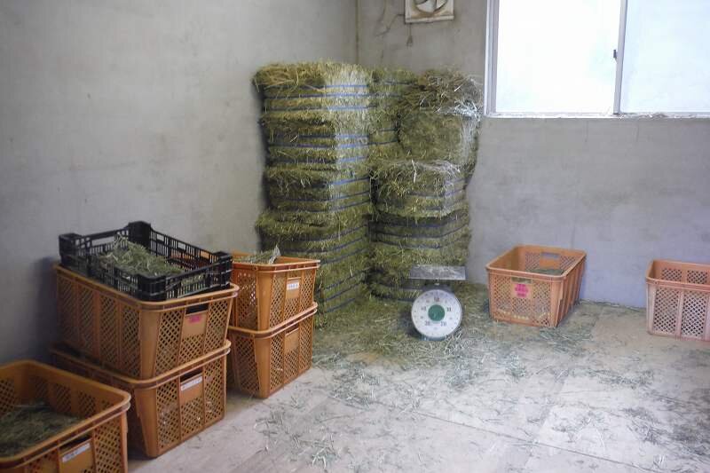 DSCF2792.jpg