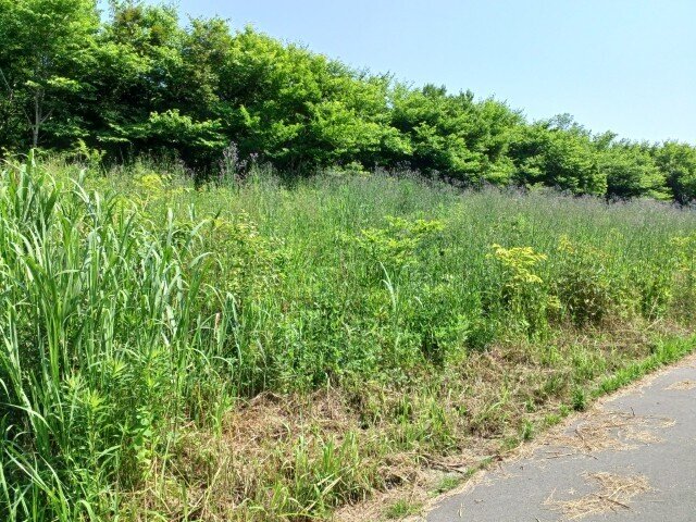 20260529_092403 (カスタム).jpg