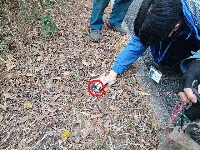 きのこ発見.jpg
