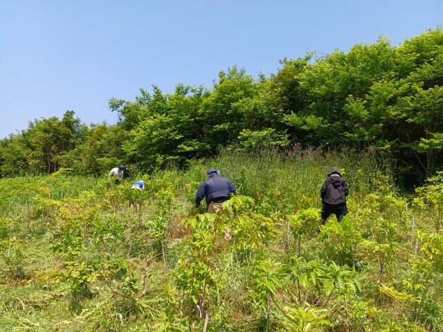 20260529_105728 (カスタム).jpg