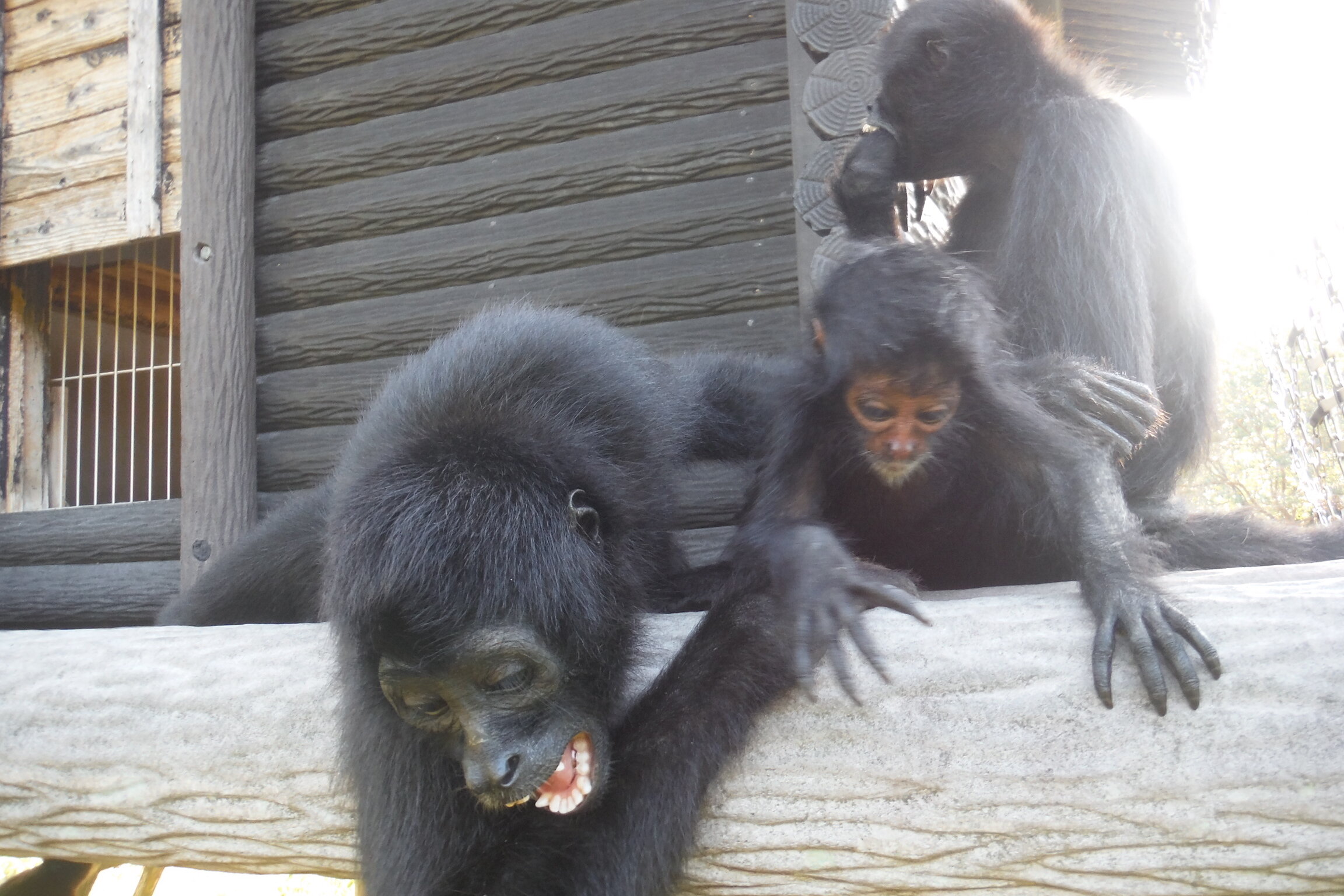 DSCF6486.JPG
