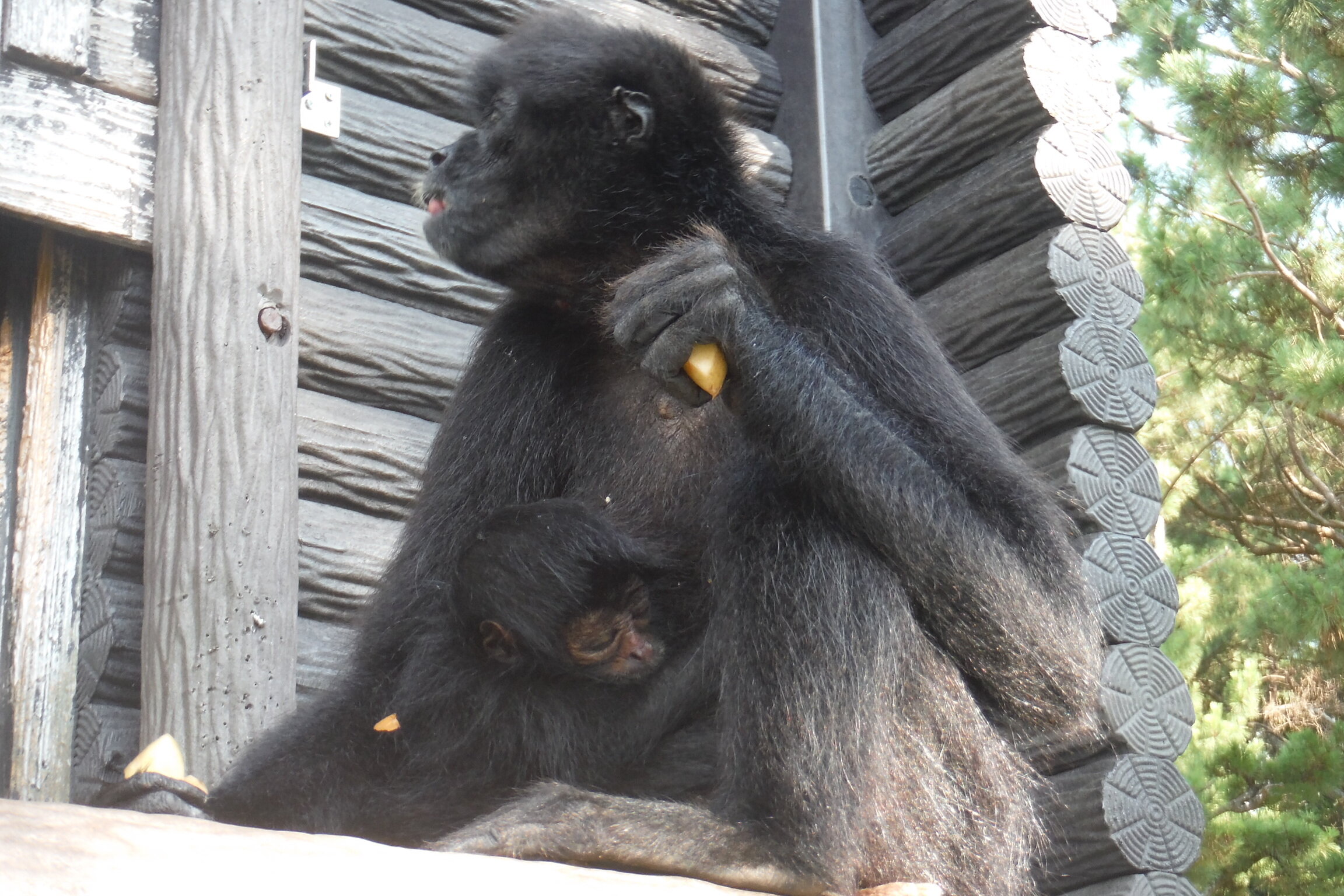 DSCF6514.JPG
