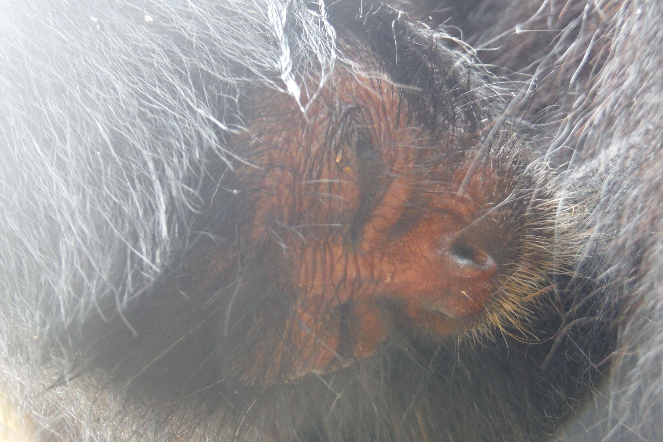 DSCF6520.JPG