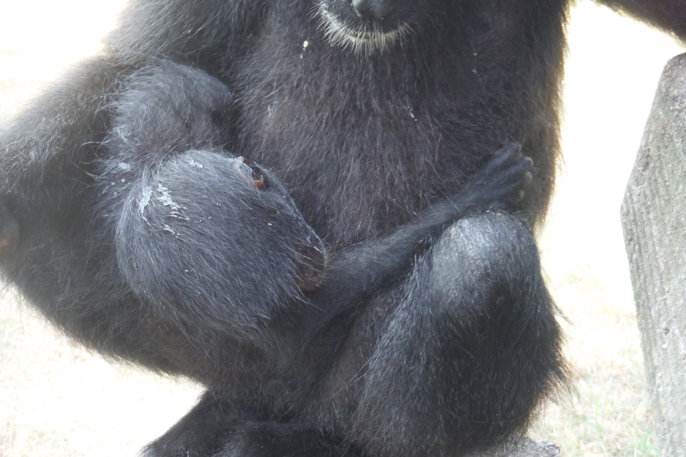 DSCF6522.JPG