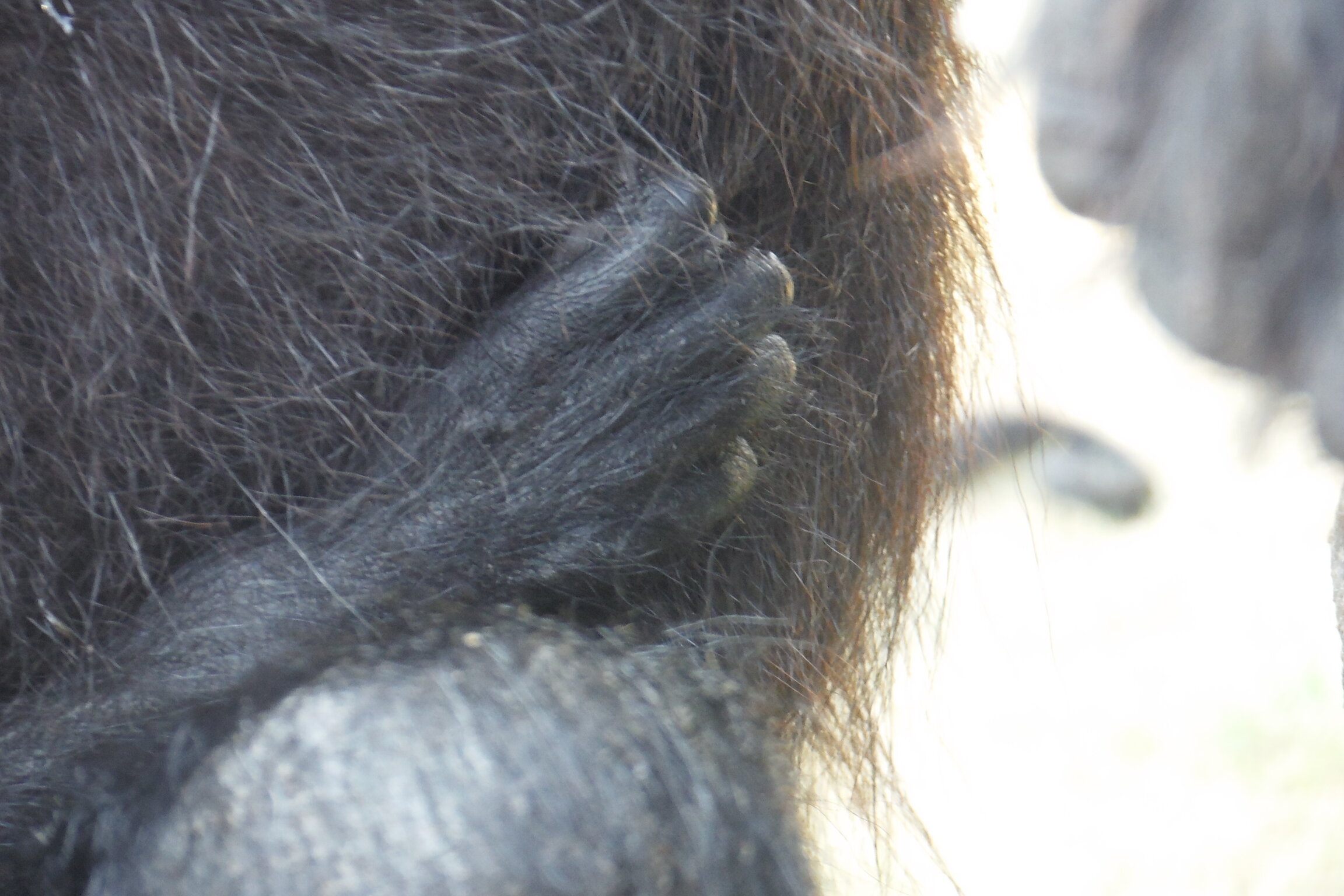 DSCF6523.JPG