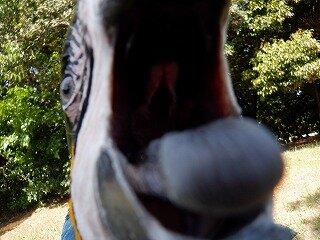 DSCF6780.jpg