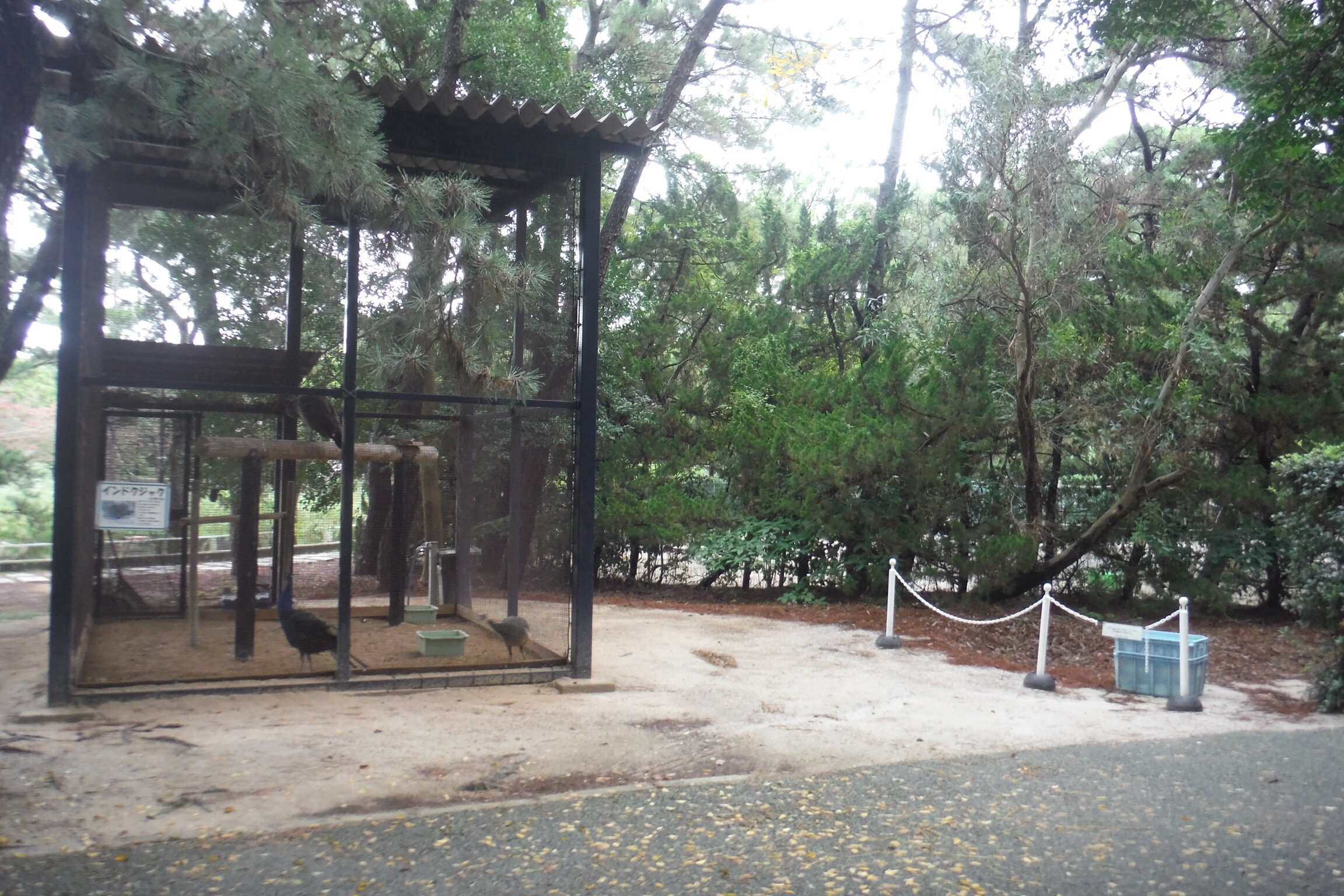 DSCF6917.JPG