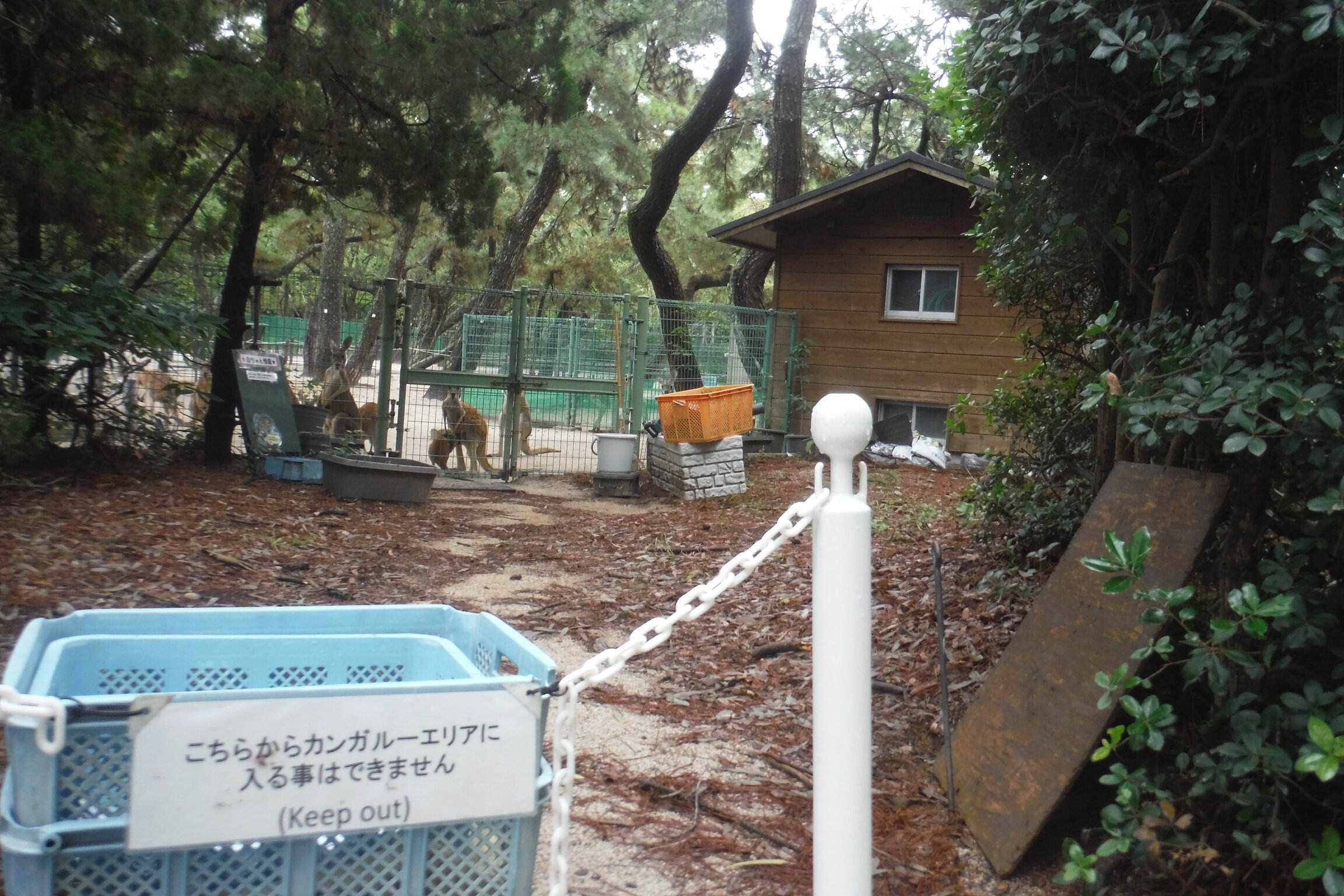 DSCF6918.JPG