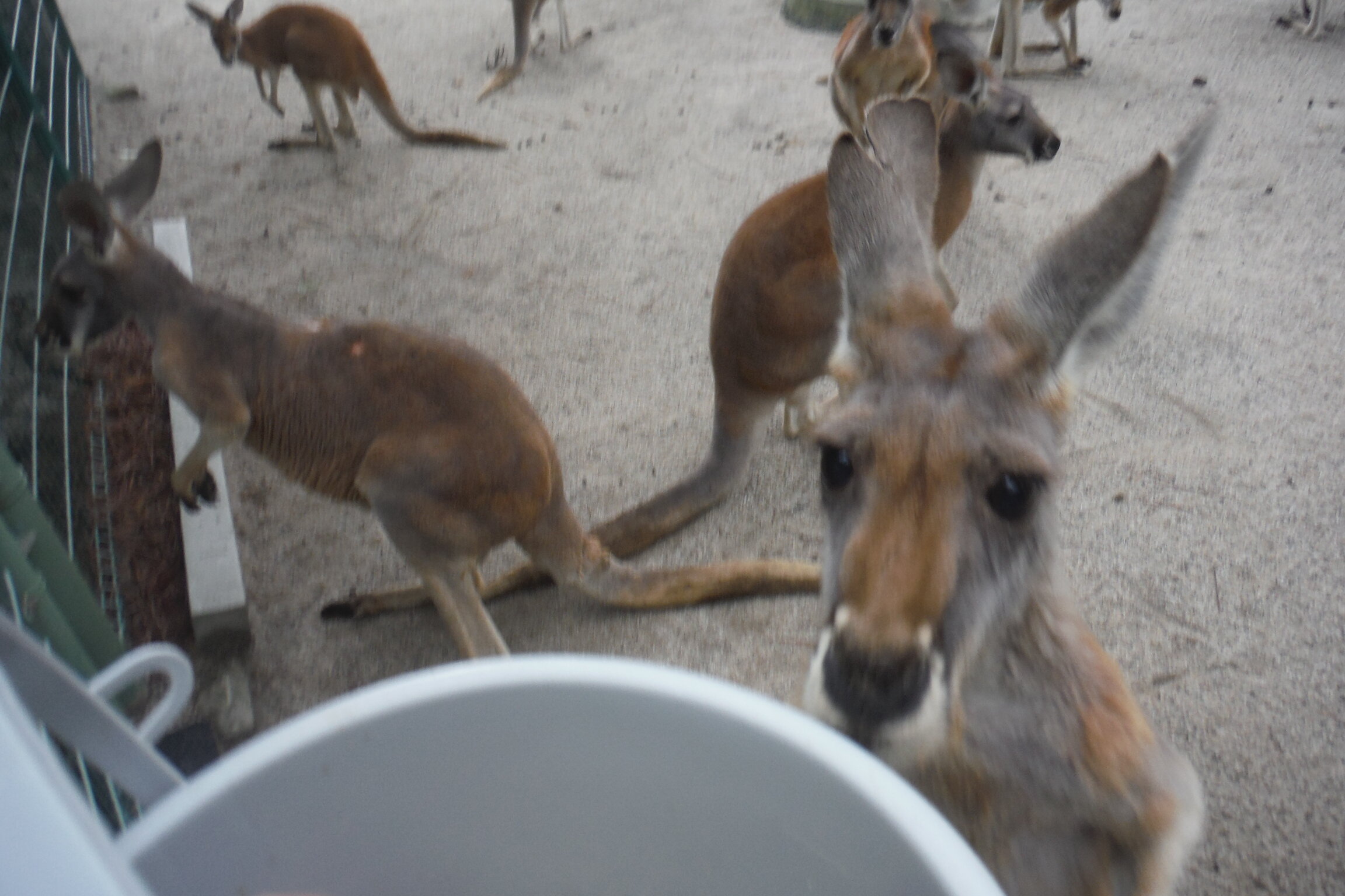DSCF6925.JPG