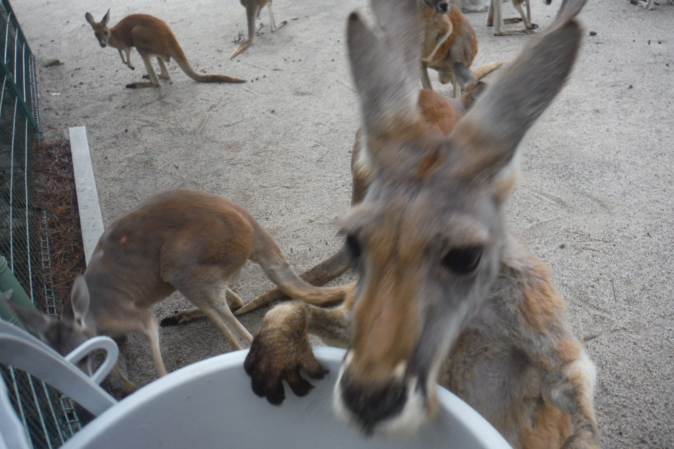 DSCF6926.JPG