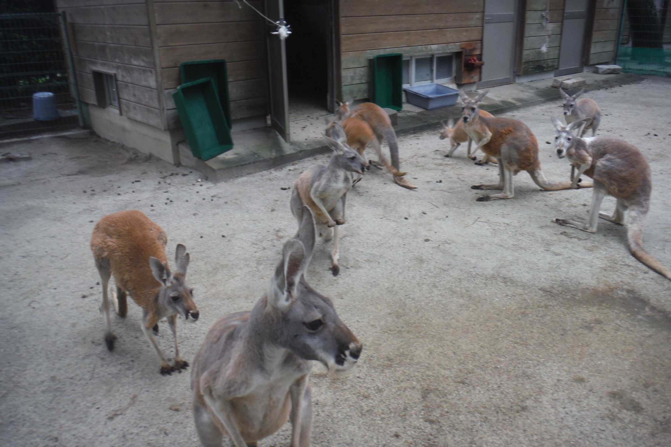 DSCF6927.JPG