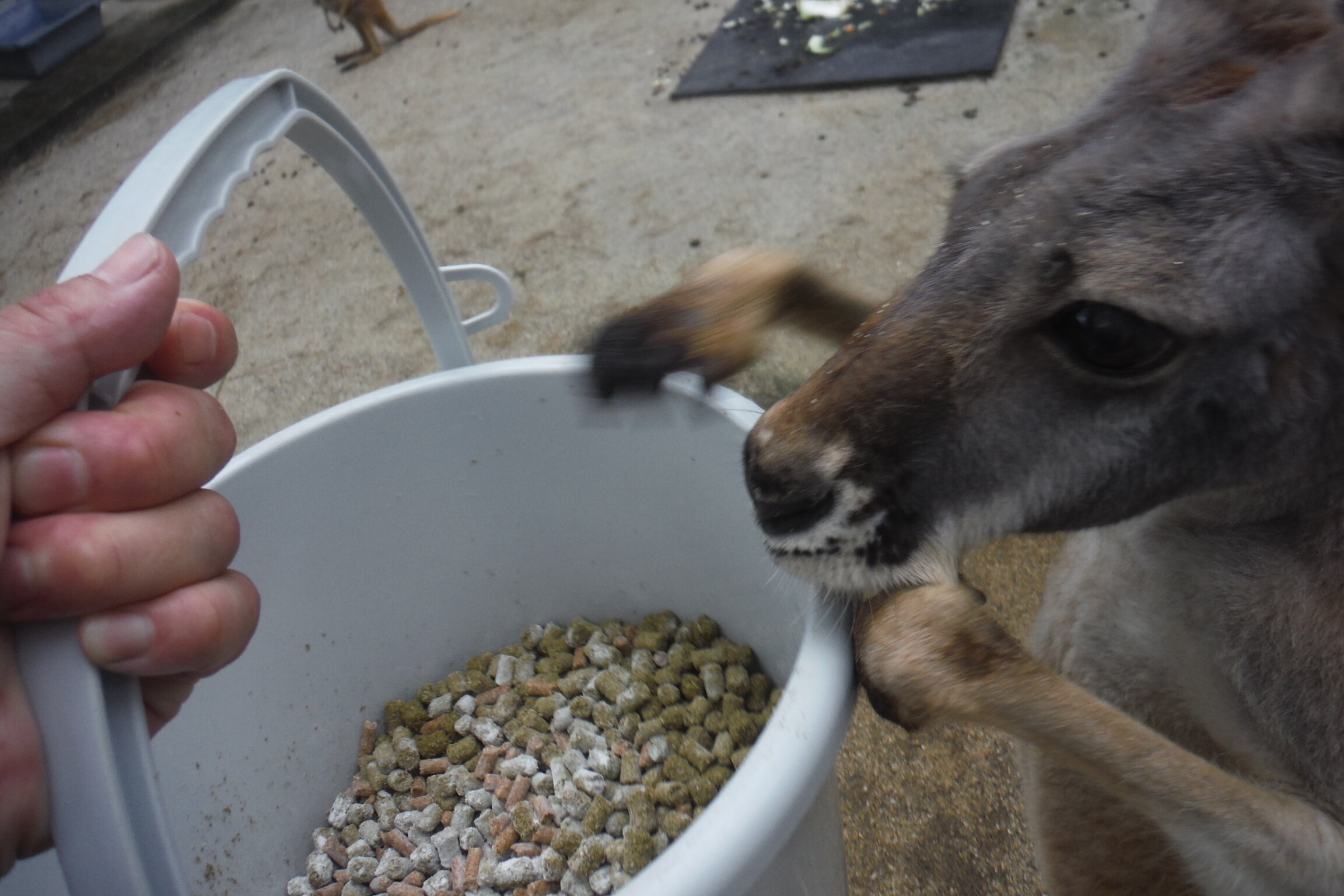 DSCF6930.JPG