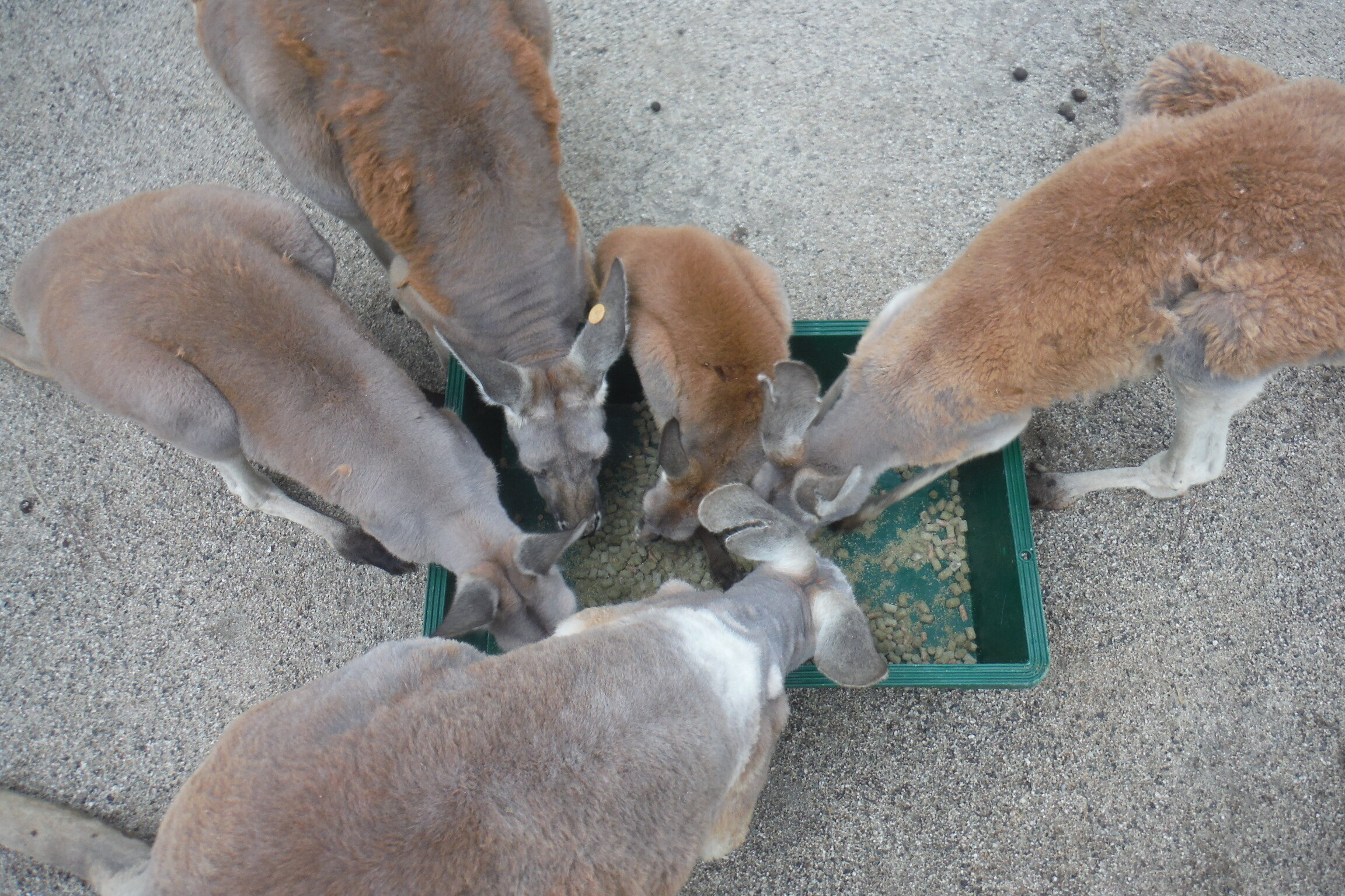 DSCF6938.JPG