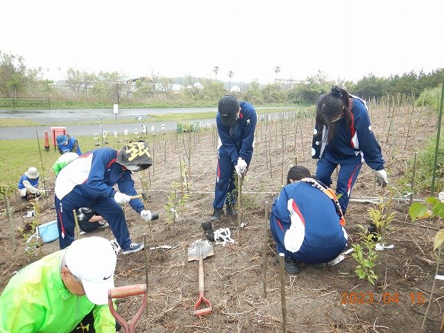 苗木を植える学生