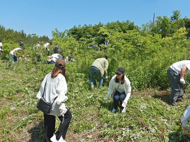 DSCN7498.jpg