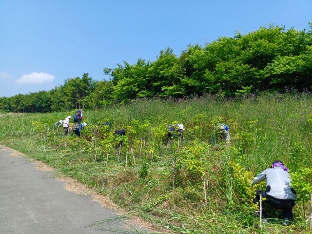 20260529_101730 (カスタム).jpg