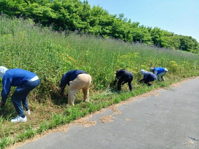 20260529_100005 (カスタム).jpg