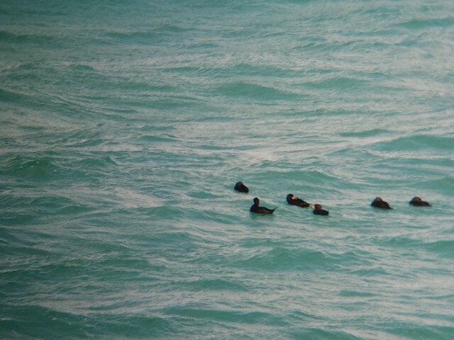 20260122_123429 (カスタム).jpg