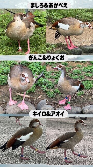 s-IMG_4810.jpg