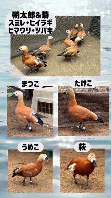 s-IMG_4813.jpg