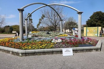 フラワーピクニック限定花壇