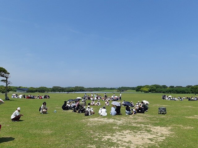 20230517_110644.jpg