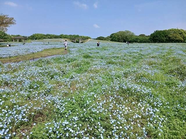 20260501_103633.jpg