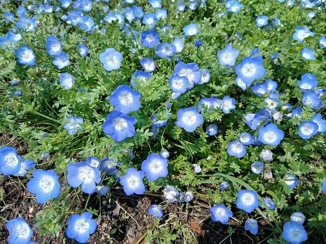 20260501_103721.jpg