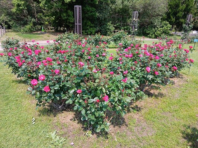 20260501_105113.jpg