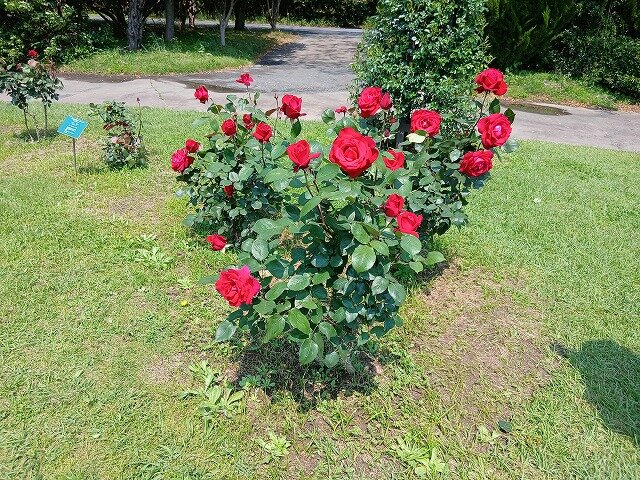 20260501_105248.jpg
