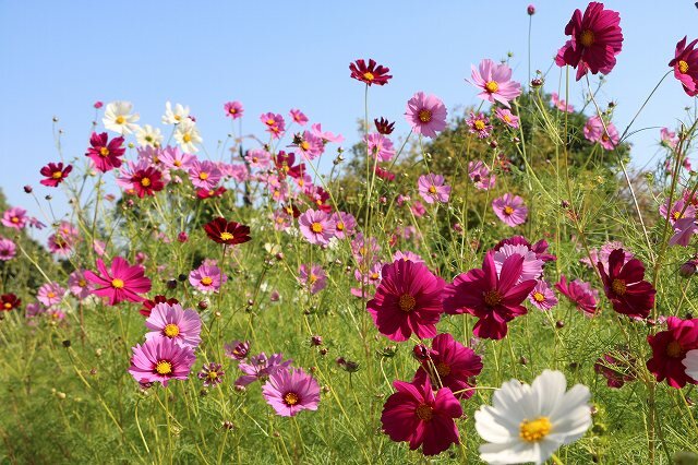 20261017_FM (39).jpg