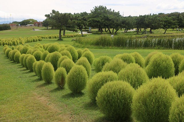 20260905_虹・彩りの花壇 (2).jpg