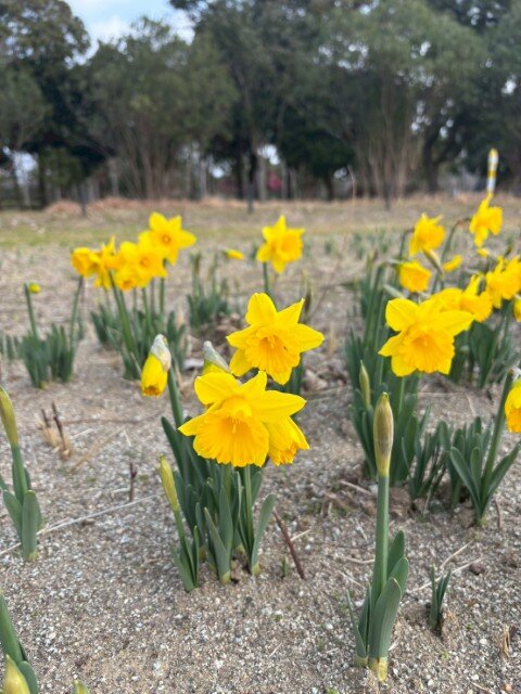 1769659085088 (小).jpg