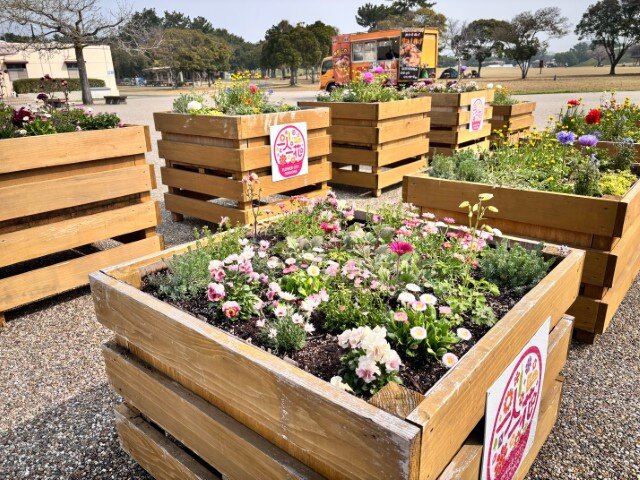 1774753973563 (小).jpg