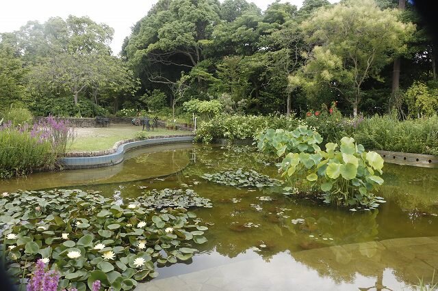 20260718_フラワーミュージアム (24).jpg