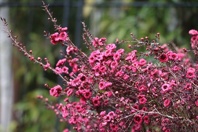 IMG_1882.jpg